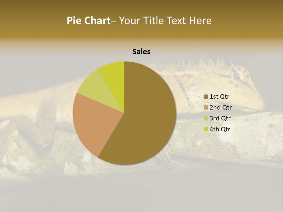 Color Eye Single PowerPoint Template
