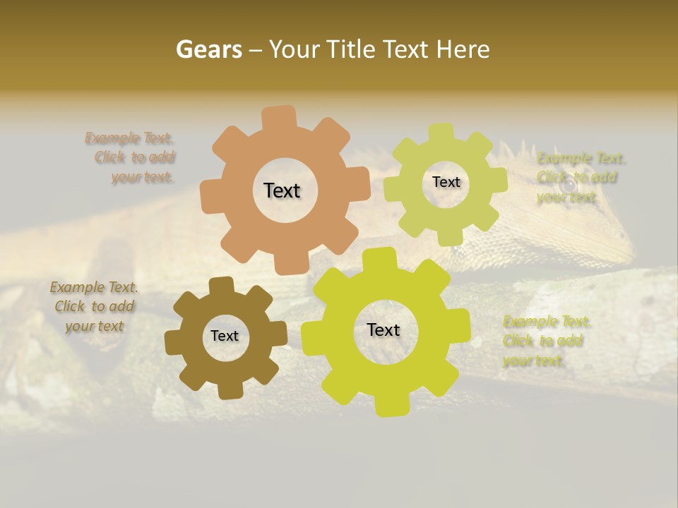 Color Eye Single PowerPoint Template