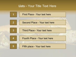 Color Eye Single PowerPoint Template