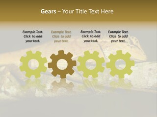 Color Eye Single PowerPoint Template