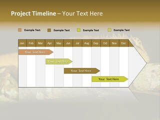 Color Eye Single PowerPoint Template