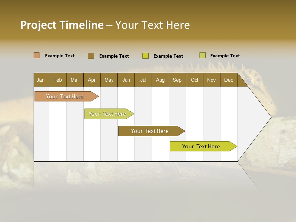 Color Eye Single PowerPoint Template