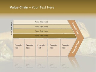 Color Eye Single PowerPoint Template