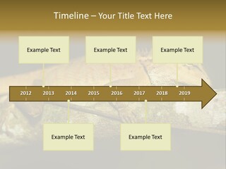 Color Eye Single PowerPoint Template