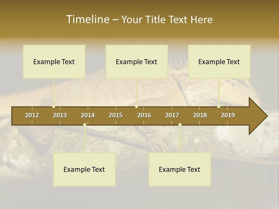 Color Eye Single PowerPoint Template