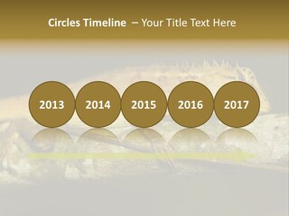 Color Eye Single PowerPoint Template