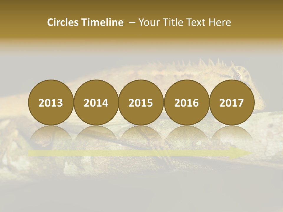 Color Eye Single PowerPoint Template