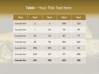 Color Eye Single PowerPoint Template