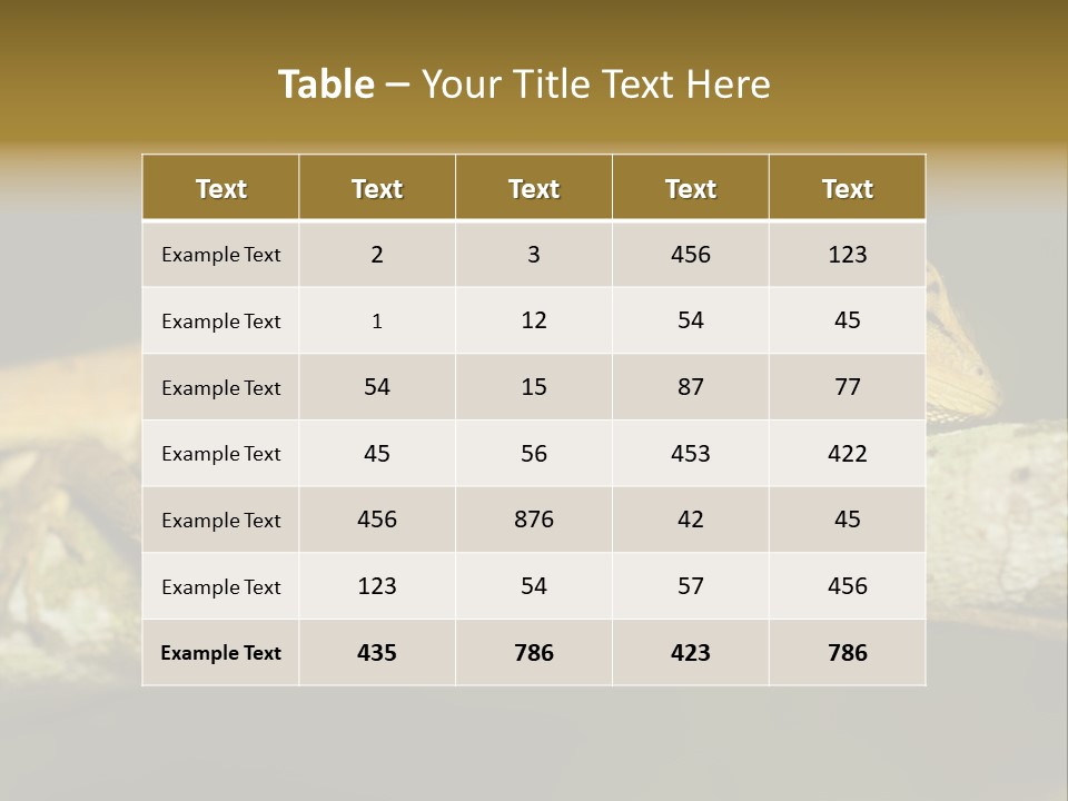 Color Eye Single PowerPoint Template