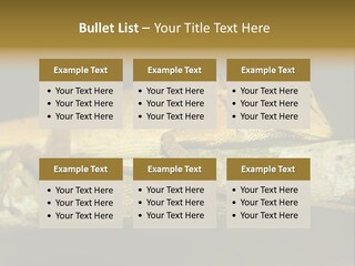 Color Eye Single PowerPoint Template