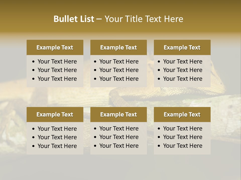 Color Eye Single PowerPoint Template