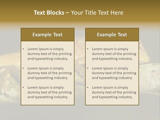 Color Eye Single PowerPoint Template