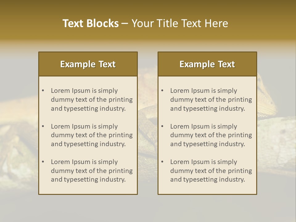Color Eye Single PowerPoint Template