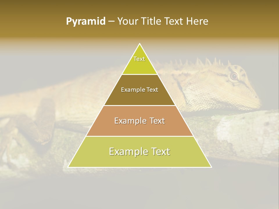 Color Eye Single PowerPoint Template