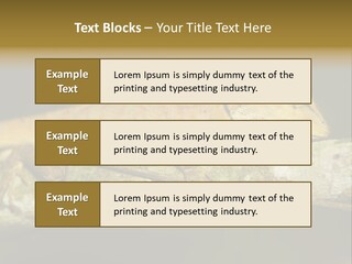 Color Eye Single PowerPoint Template