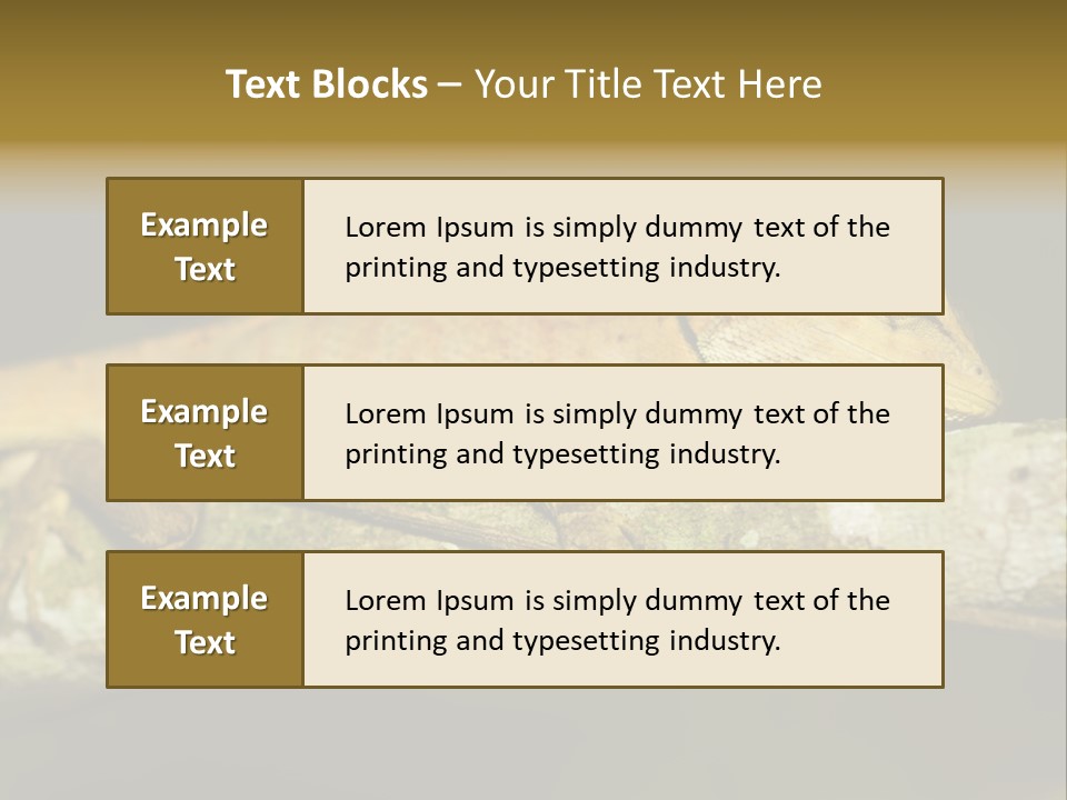 Color Eye Single PowerPoint Template