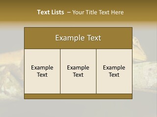 Color Eye Single PowerPoint Template
