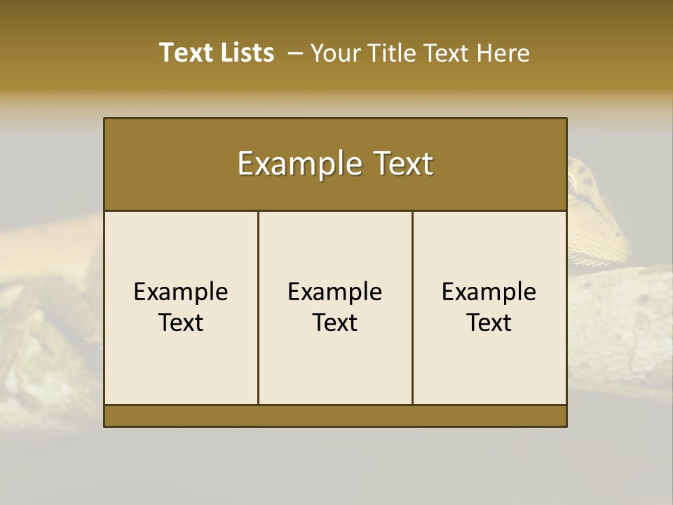 Color Eye Single PowerPoint Template