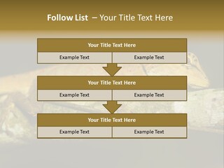 Color Eye Single PowerPoint Template