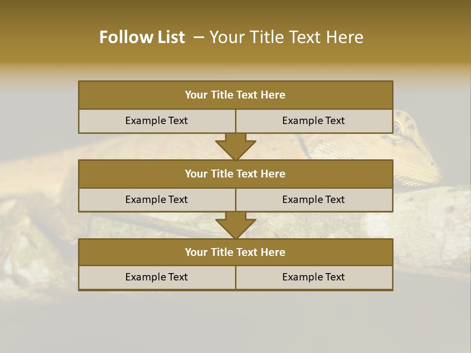 Color Eye Single PowerPoint Template