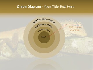 Color Eye Single PowerPoint Template