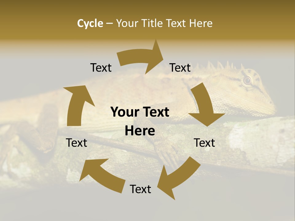 Color Eye Single PowerPoint Template