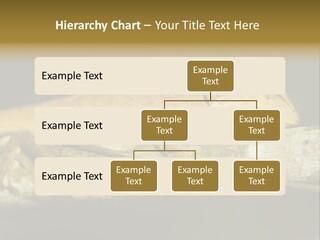 Color Eye Single PowerPoint Template