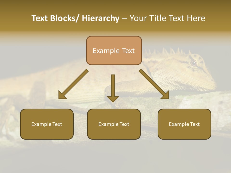 Color Eye Single PowerPoint Template