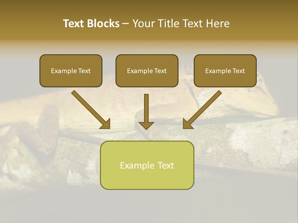 Color Eye Single PowerPoint Template