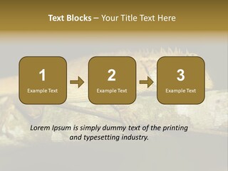 Color Eye Single PowerPoint Template