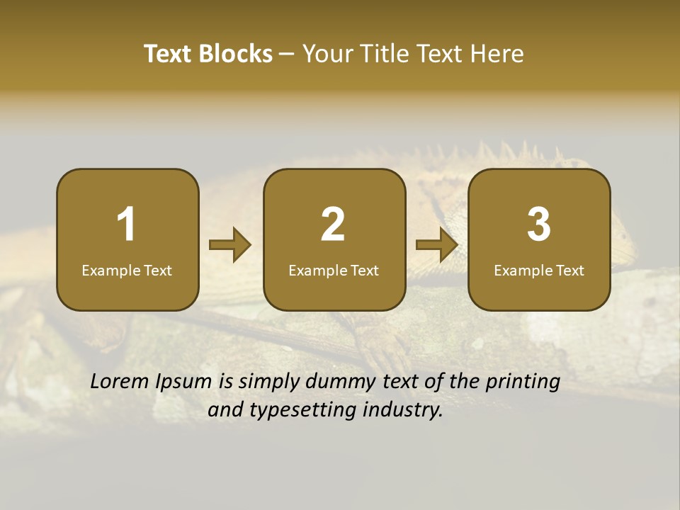 Color Eye Single PowerPoint Template