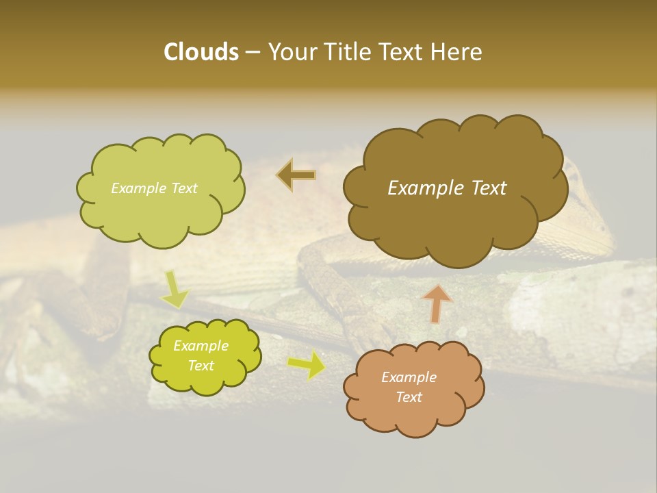 Color Eye Single PowerPoint Template