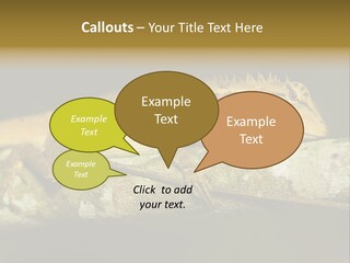 Color Eye Single PowerPoint Template