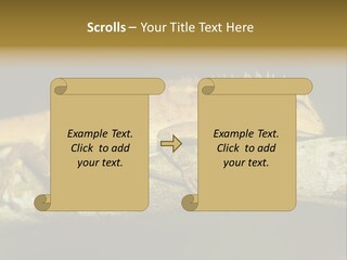 Color Eye Single PowerPoint Template
