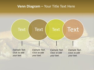 Color Eye Single PowerPoint Template