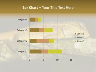Color Eye Single PowerPoint Template