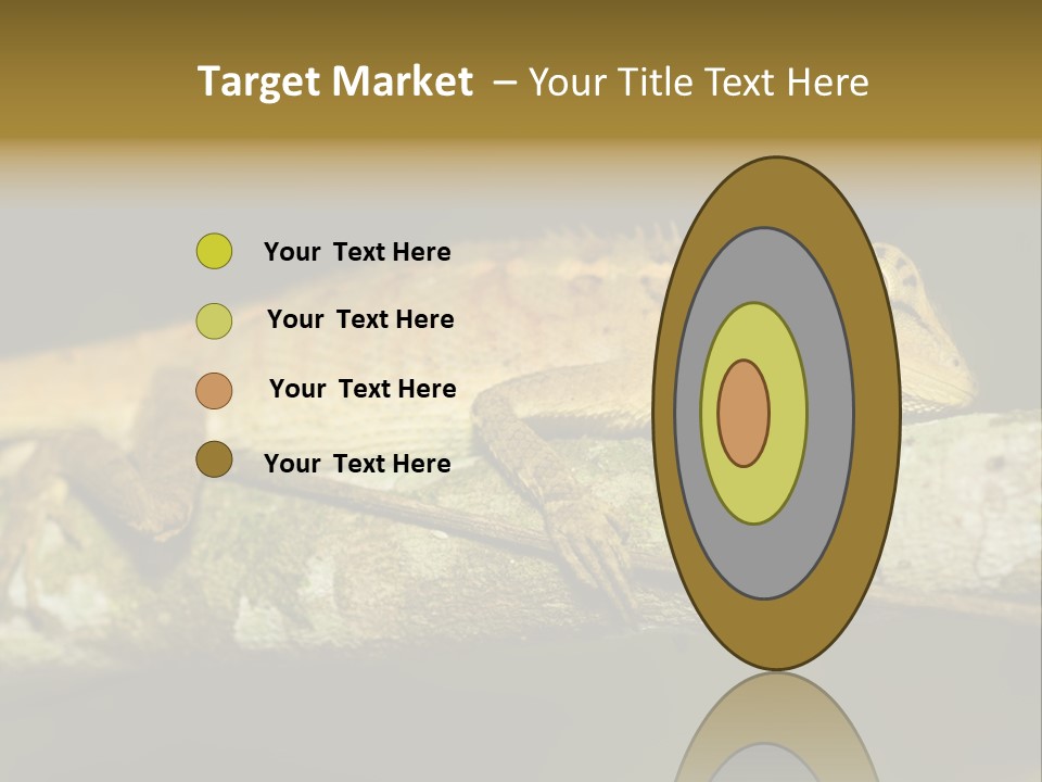 Color Eye Single PowerPoint Template