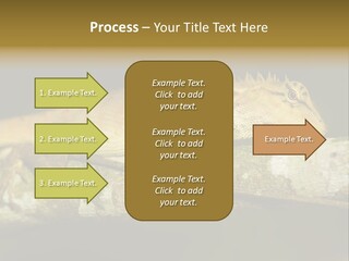 Color Eye Single PowerPoint Template