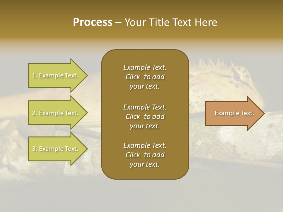 Color Eye Single PowerPoint Template