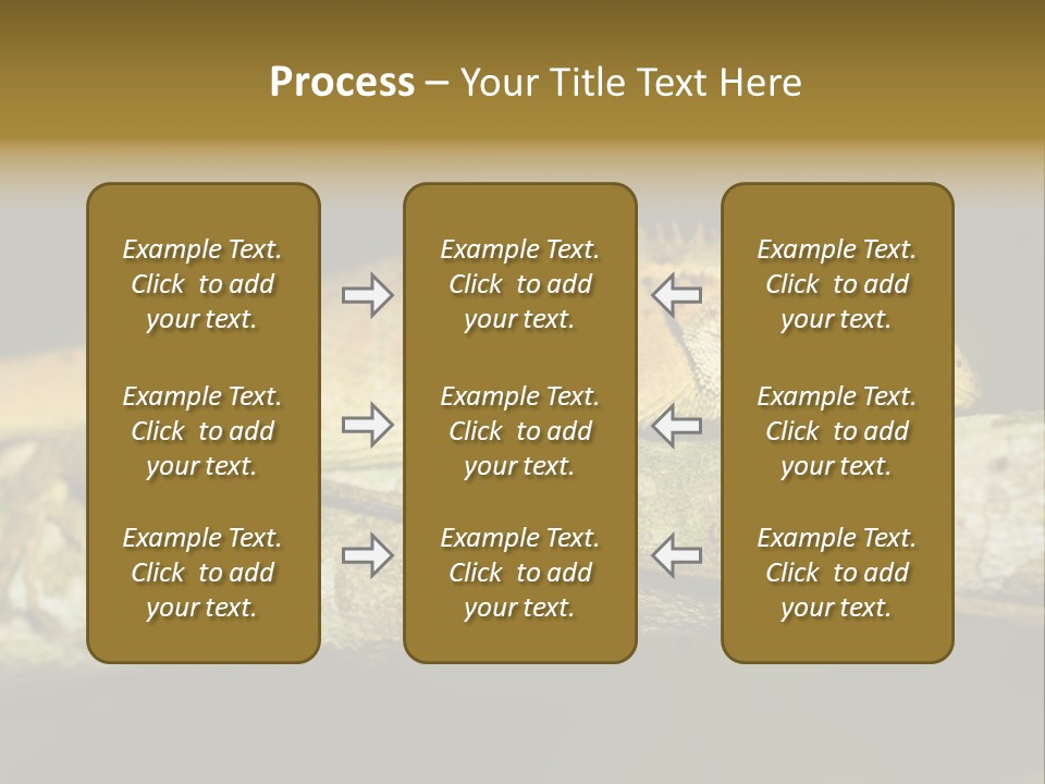 Color Eye Single PowerPoint Template