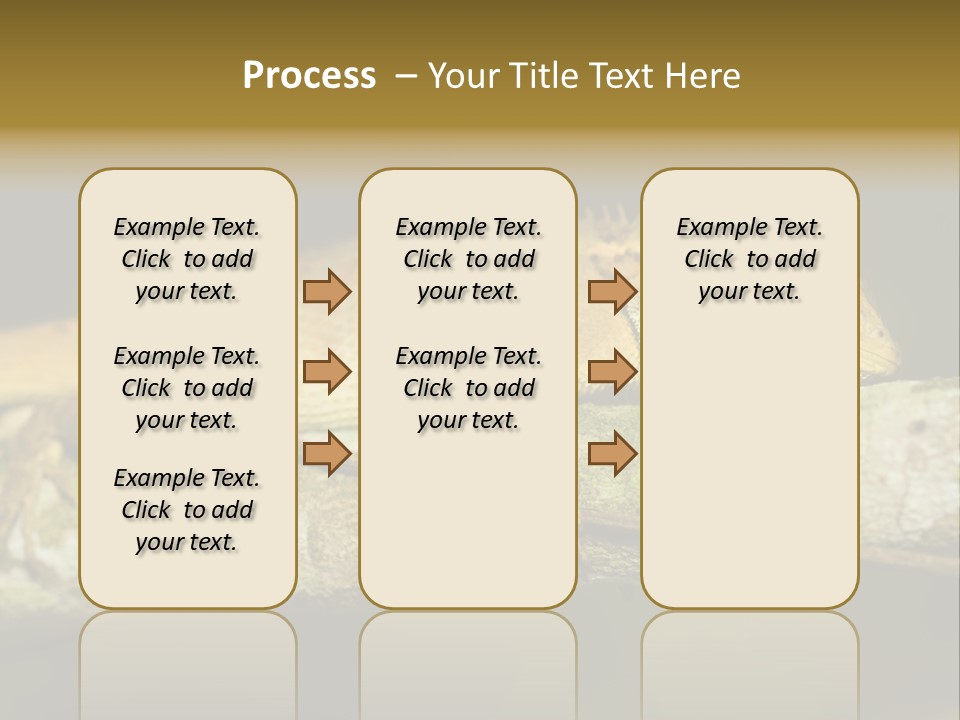 Color Eye Single PowerPoint Template