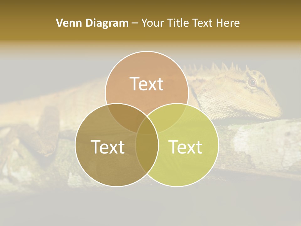 Color Eye Single PowerPoint Template