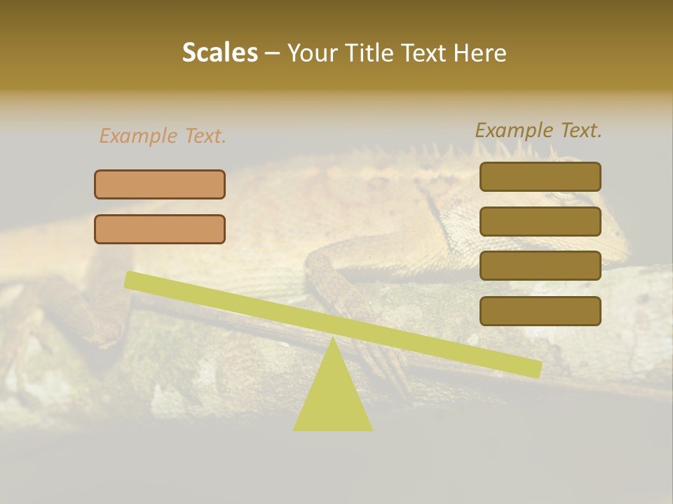 Color Eye Single PowerPoint Template