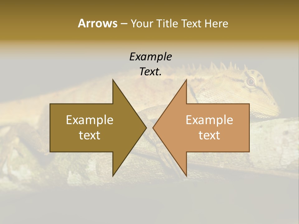 Color Eye Single PowerPoint Template