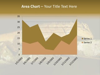 Color Eye Single PowerPoint Template