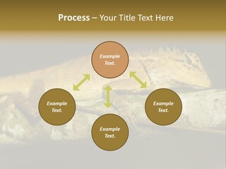 Color Eye Single PowerPoint Template