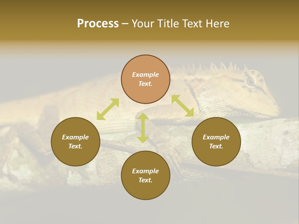 Color Eye Single PowerPoint Template