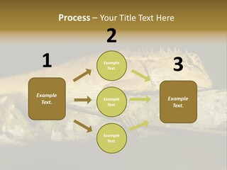 Color Eye Single PowerPoint Template