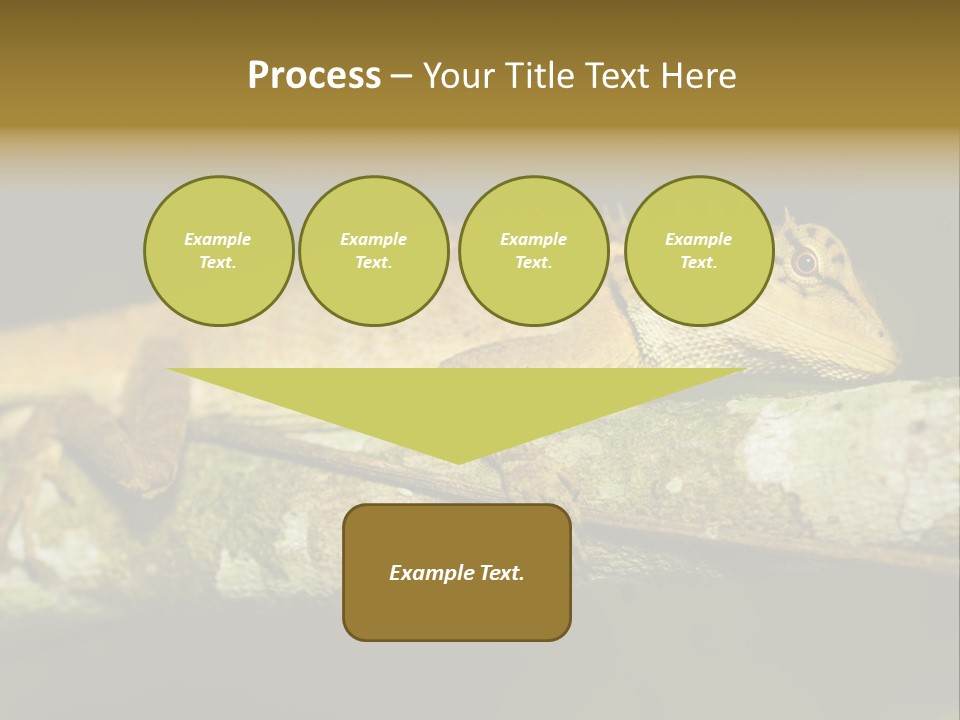 Color Eye Single PowerPoint Template