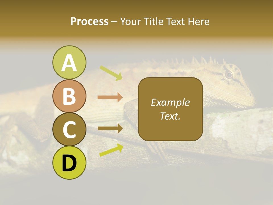 Color Eye Single PowerPoint Template
